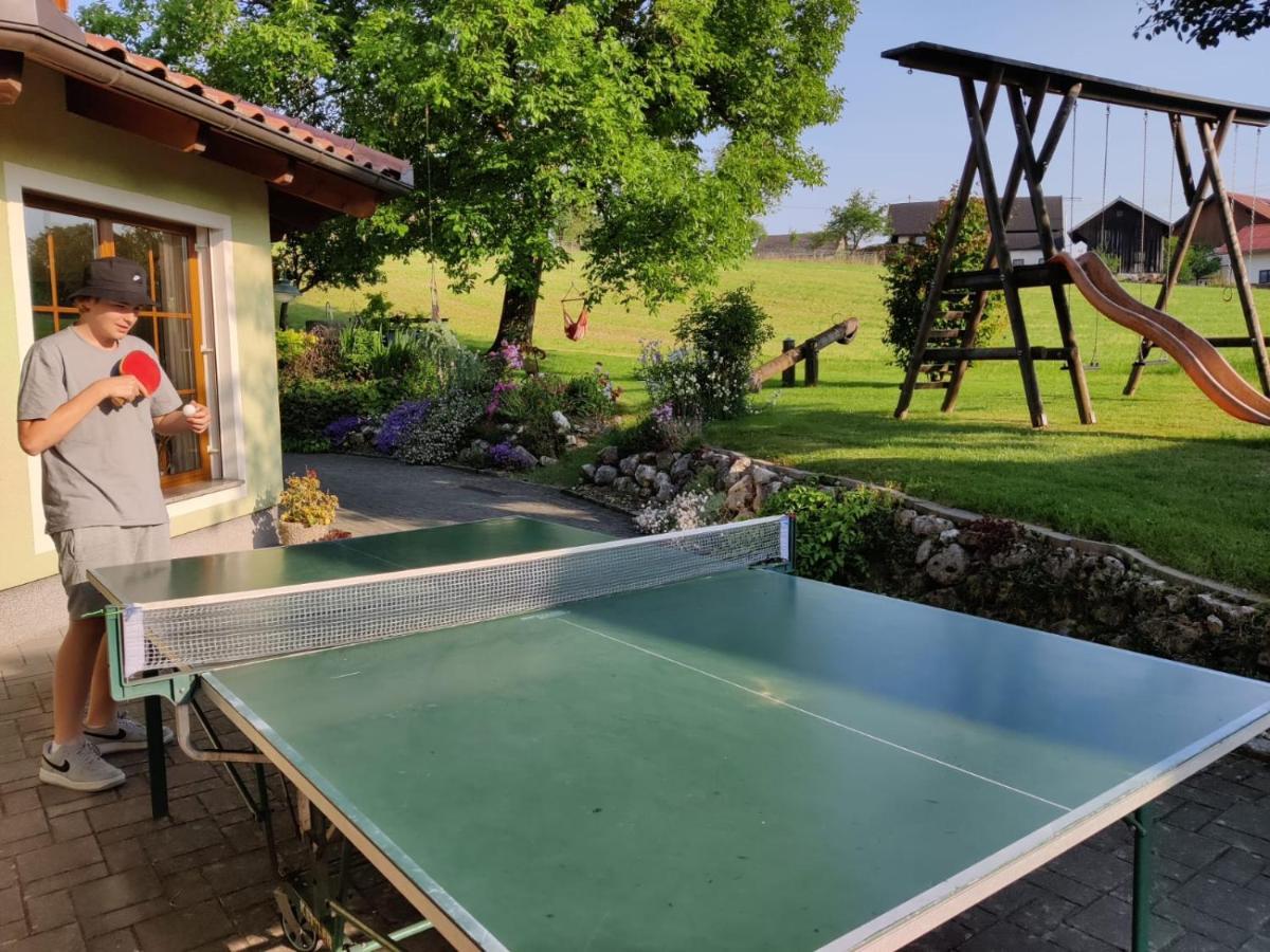 Pension Holzapfel Санкт-Георген-им-Аттергау Экстерьер фото